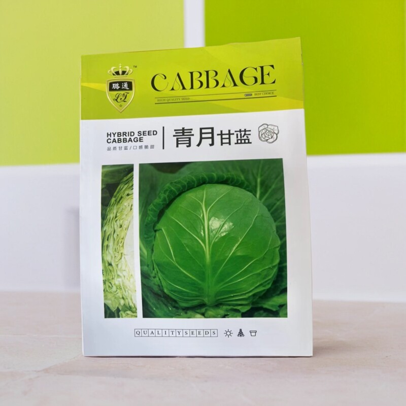 青月甘蓝种子半松软黄芯甘蓝韩绿甘蓝种子净含量10克上下颜色一致