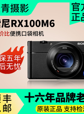 Sony/索尼 DSC-RX100M6