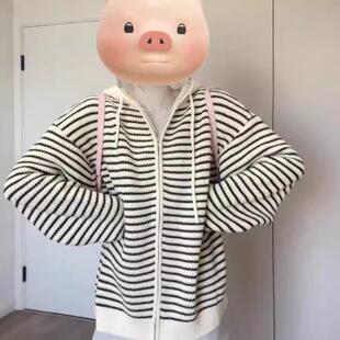 上衣潮 韩系连帽小个子减龄女秋冬季 2024新款 美式 复古chic针织开衫