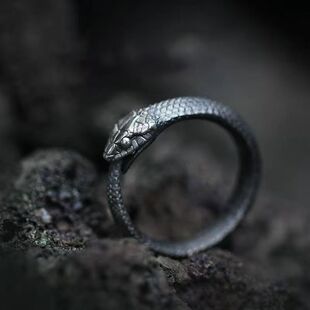 合金戒指 爆款戒指ins小众高级新款开口衔尾蛇戒指男暗黑男女