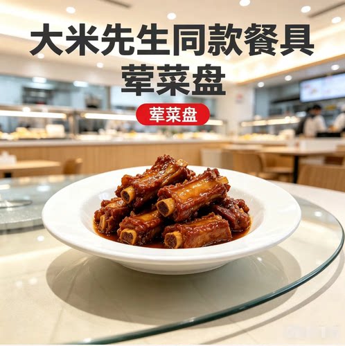 大米先生同款密胺仿瓷宽边圆盘
