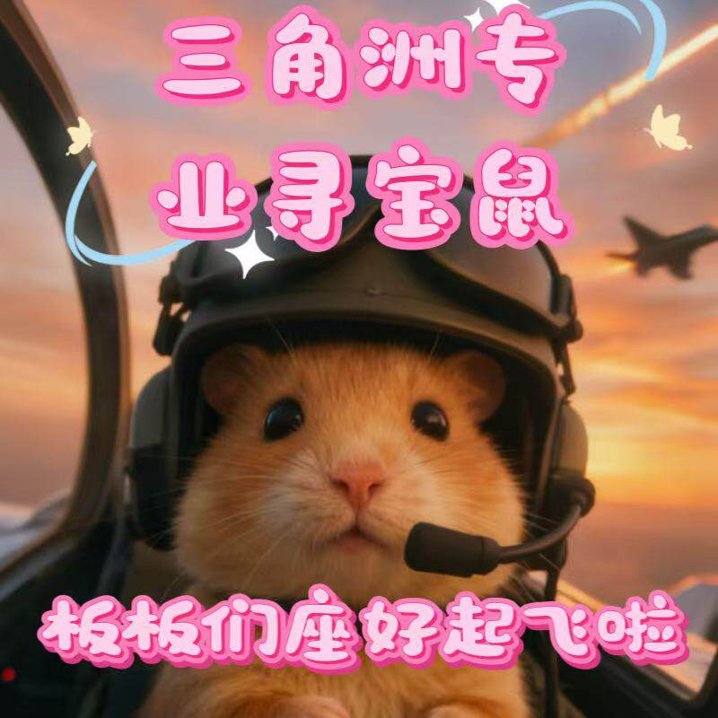 三角洲寻宝鼠陪玩搜大红海洋之星图片