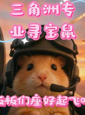 三角洲监狱航天女寻宝鼠陪玩赌大红搜物pc端勇敢海洋之泪非洲之星