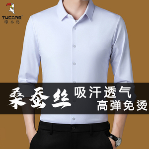 啄木鸟春夏薄款桑蚕丝男士长袖衬衫弹力免烫商务抗皱中年真丝衬衣