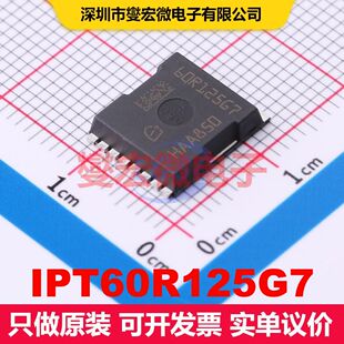 IPT60R125G7 HSOF-8 场效应管 晶体管 分立器件