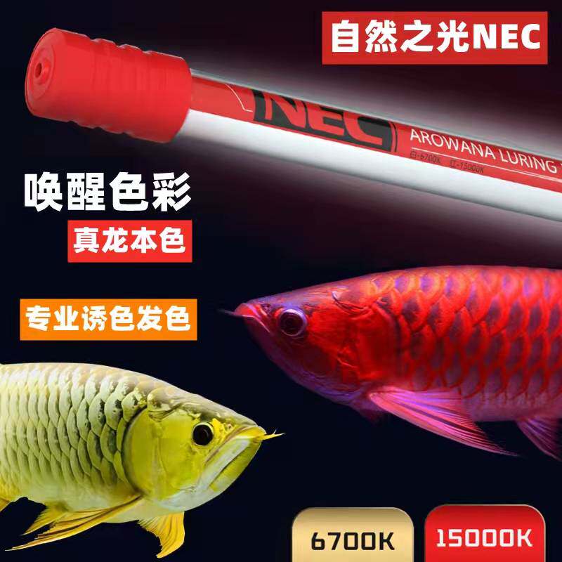 仟鱼NEC龙鱼专用灯发色潜水红灯全光谱鱼缸灯K灯照明器材灯鱼缸怎么看?