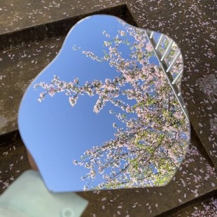 镜子里的世界也在百花齐放~~亚克力软镜子安全不易碎