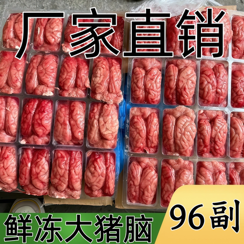 新鲜冷冻优质猪脑花火锅炖汤