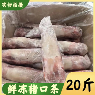 国产猪口条无根大猪新鲜冷冻口条猪舌条猪舌头猪舌卤菜食材20斤