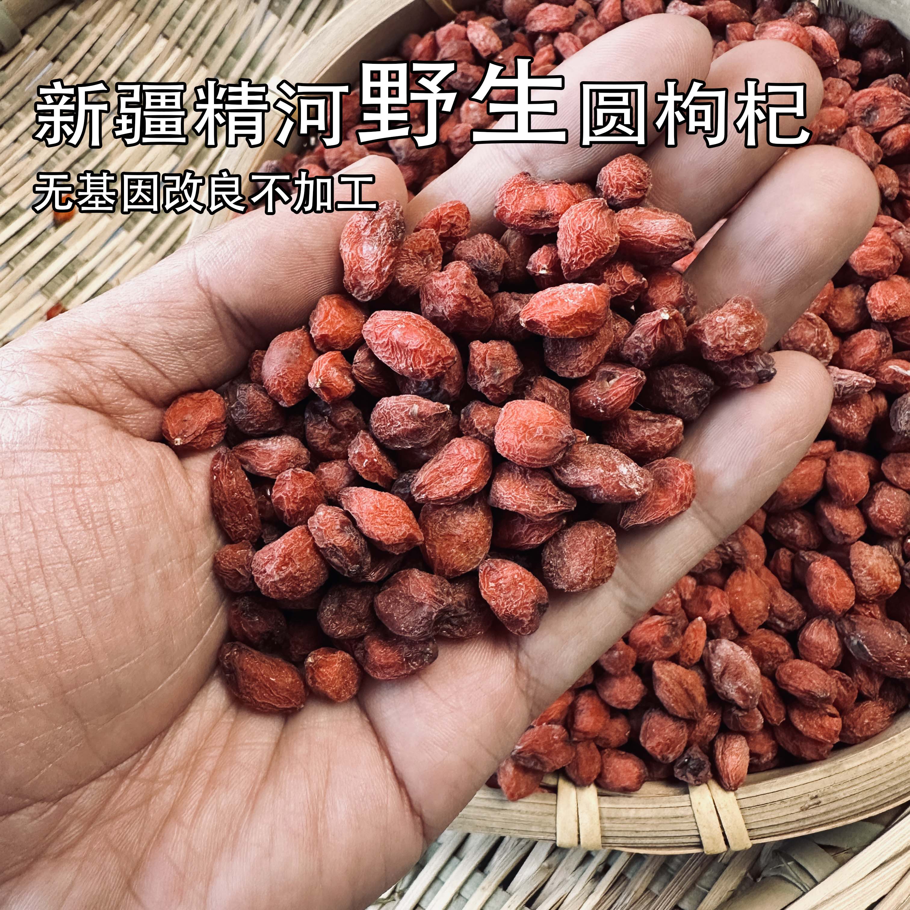 新疆精河野生枸杞特产纯圆枸杞无加工