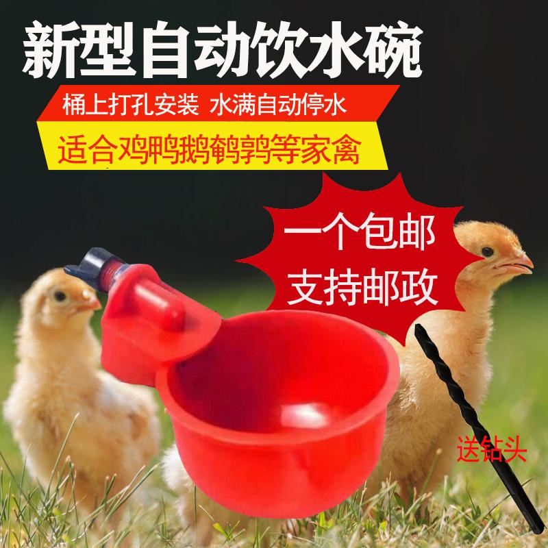 家禽自动饮水碗喝水喂水器