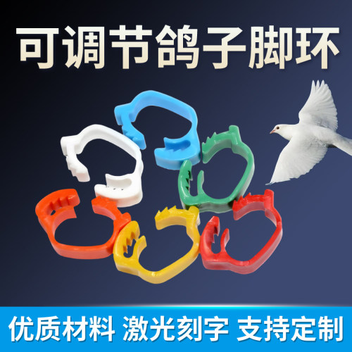 鸽子脚环可调节鸽子脚环肉鸽记号环赛格足环彩色定制标识环