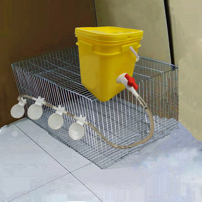 鸽子自动饮水碗水满自动停喝水碗鸡鸽子鸟鹌鹑用水槽喂水器宠物用