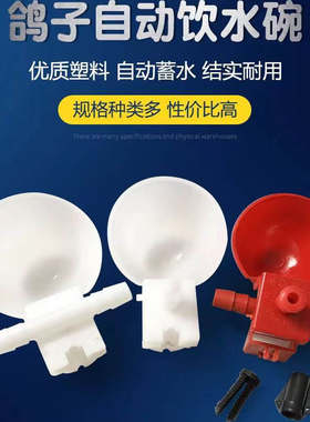 鸽子自动饮水器鹌鹑小鸡水杯水碗水盒自动水碗鸽子家禽喝水碗喂水