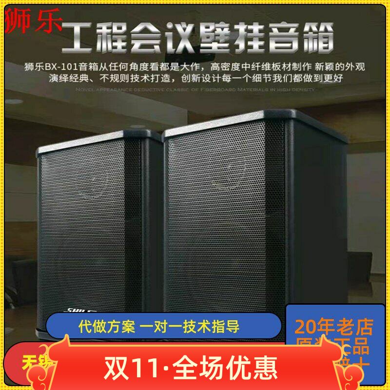 狮乐AV6612B BX101会议室音响组合套装定阻商铺背景音乐壁挂音箱
