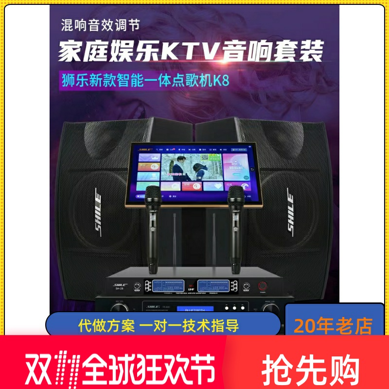 狮乐会议室音响功放套装组合KTV家庭卡拉OK培训课室舞蹈室壁挂音