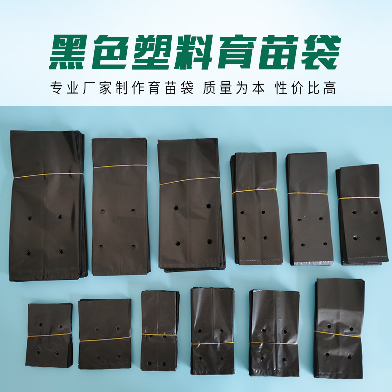 黑色育苗袋一次性营养钵加厚