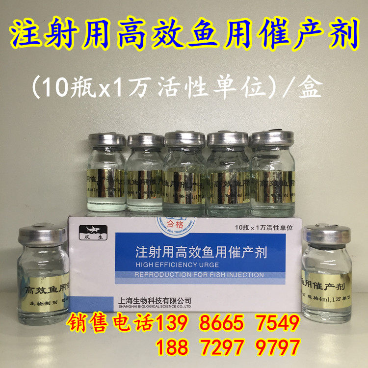 鱼塘注射用高效鱼用催产剂金鱼锦鲤罗汉鲤鱼鲫草鲢鳊等鱼用产卵药