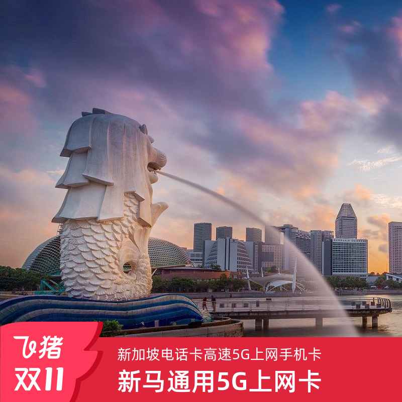 新加坡电话卡