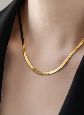 金蛇骨项链女款颈链宽ins冷淡风简约项链高级感轻奢小众高级叠戴