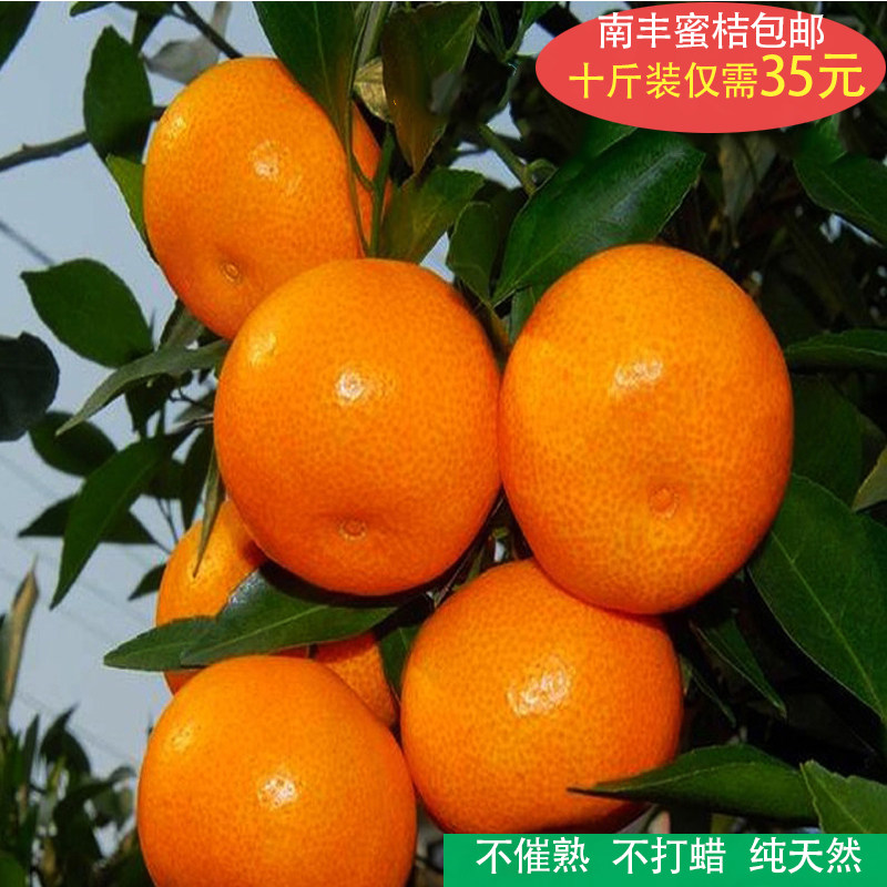 湖南正宗南丰蜜桔砂糖橘子皮薄现摘现发孕妇新鲜水果十斤包邮超甜