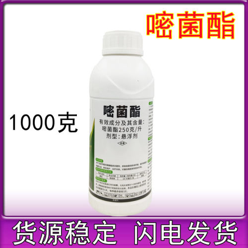 25%嘧菌酯 嘧菌脂大姜炭疽病葡萄黑痘病白粉病锈病杀菌剂500g