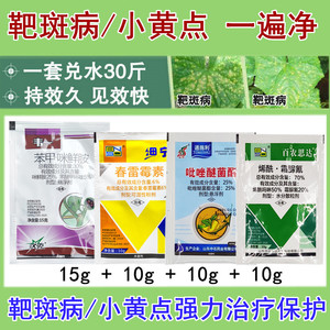 靶斑病专用药蔬菜黄瓜小黄点病豆角辣椒茄子西红柿西瓜靶斑病农药