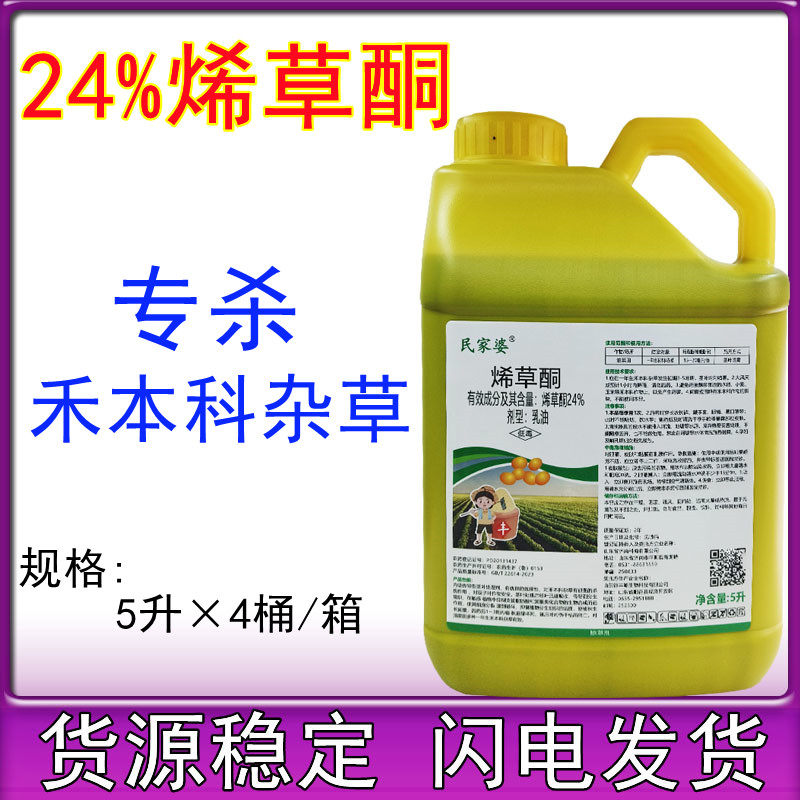 24%烯草酮花生大豆油菜苗后专用除草剂禾本科杂草除草剂尖叶杂草