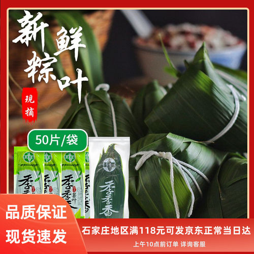今年新货免泡水鲜粽叶大小号可选