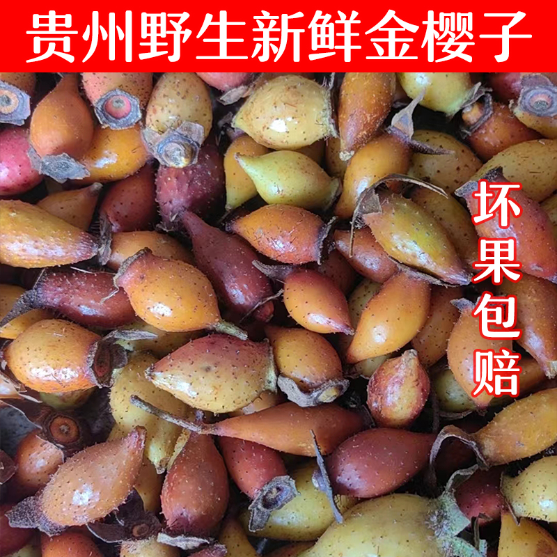贵州野生新鲜金樱子成熟果中药材泡酒金英子现摘现发1斤包邮