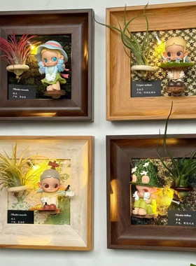 免打孔磁吸装饰画框公仔泡泡玛特收纳展示架相框摆件空气凤梨画框