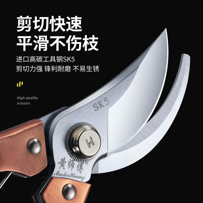 黄师傅苹果梨果树剪子修枝剪树枝剪子家用花艺剪盆栽修剪园艺工具