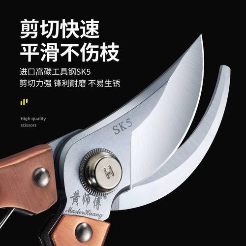 黄师傅苹果梨果树剪子修枝剪树枝剪子家用花艺剪盆栽修剪园艺工具
