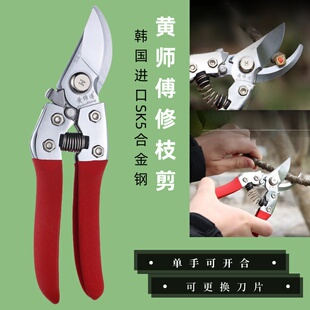 黄师傅进口SK5钢花艺剪庭院花园修枝剪花卉盆栽枝剪果树专用剪刀