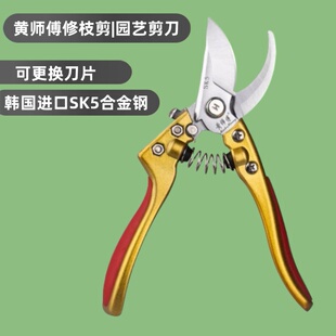 修剪树枝剪刀 黄师傅花剪园艺剪刀修枝剪SK5钢剪枝剪刀果树专用剪