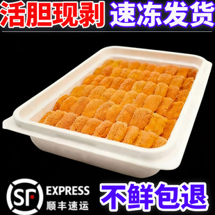 新鲜海胆鲜活速冻纯海胆肉冷冻海胆羹大连马粪海胆肉水饺食材海鲜