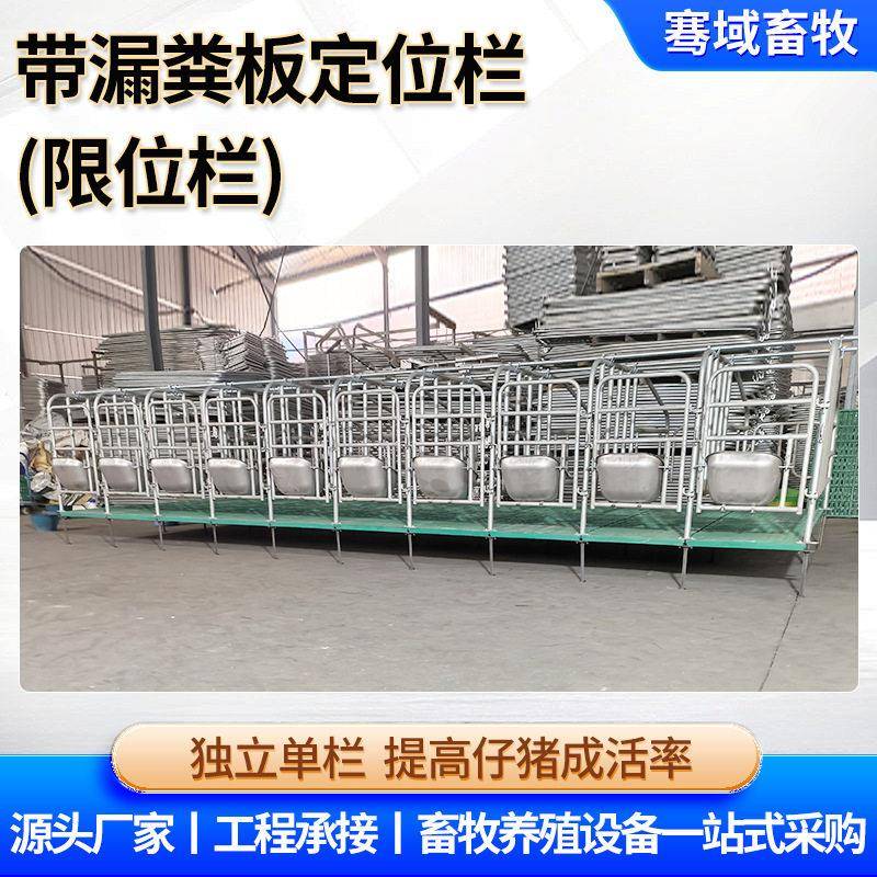 工厂带漏粪板限位栏母猪饲喂栏妊娠栏带漏粪板热镀锌框架定位栏