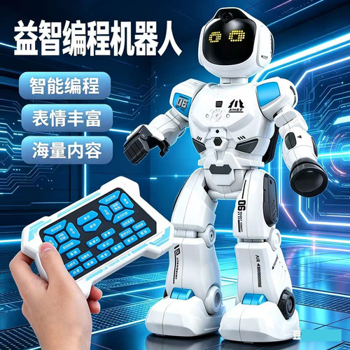德国智能遥控机器人生日礼物跨境