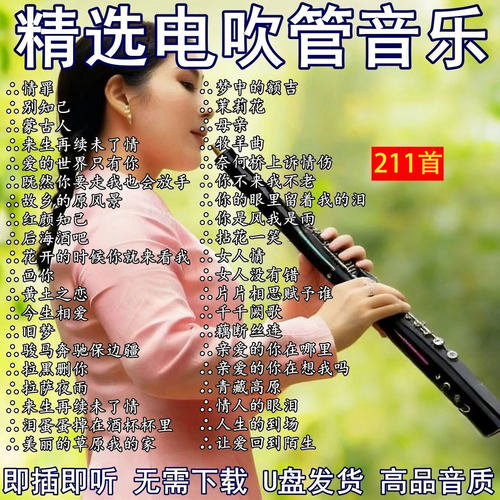 网红浪漫电吹管纯音乐U盘网红电吹管车载音乐高品质优盘MP3立体声