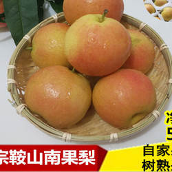 正宗鞍山海城大屯南果梨，安国梨 非香水梨，新鲜细皮多汁酒香5斤