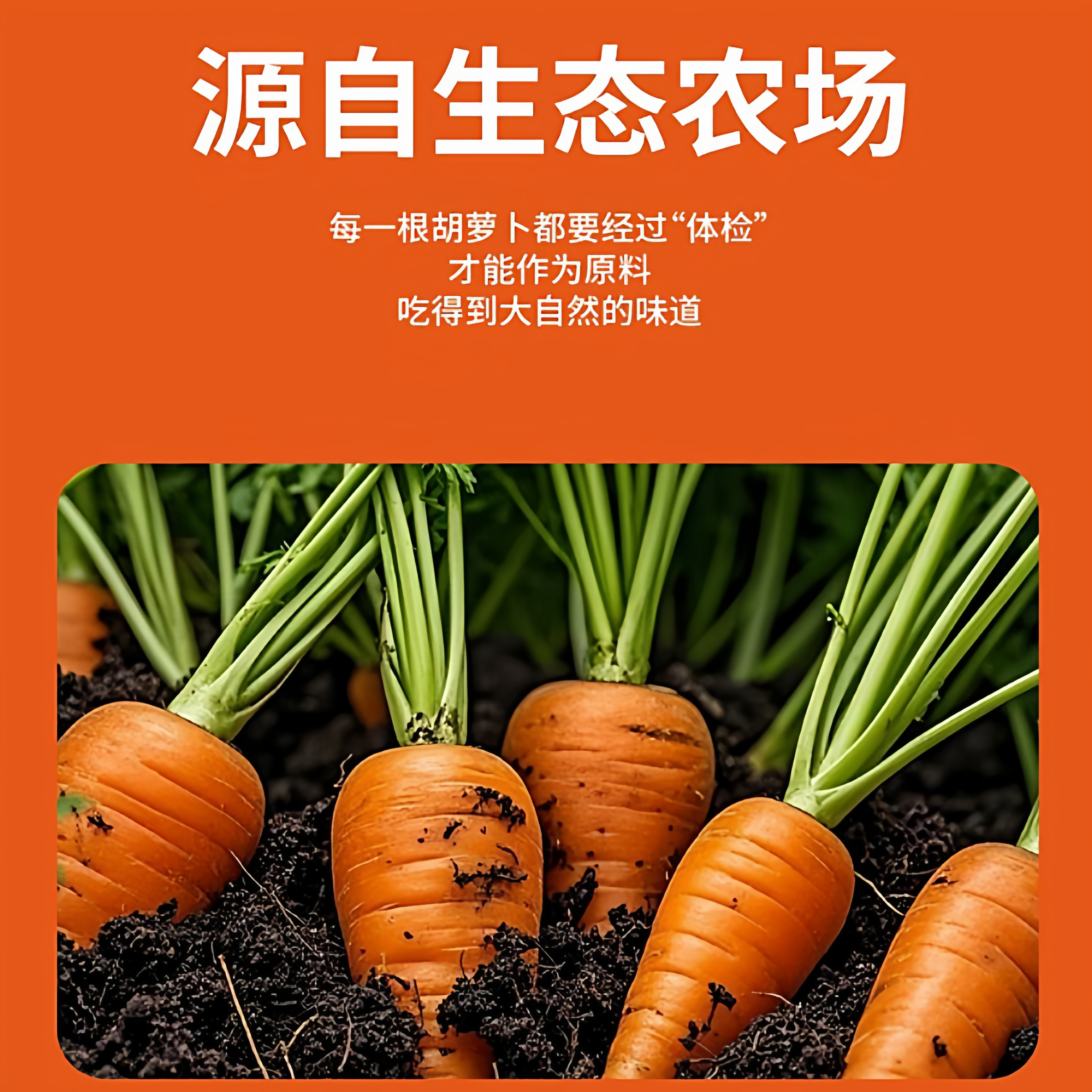 胡萝卜原浆面包原浆自然健康儿童营养早餐面包代餐休闲零食