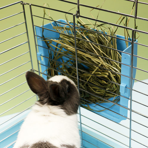 龙猫荷兰猪豚鼠喂食架草架外置草筐防扒食盆小兔子固定食盒喂草器