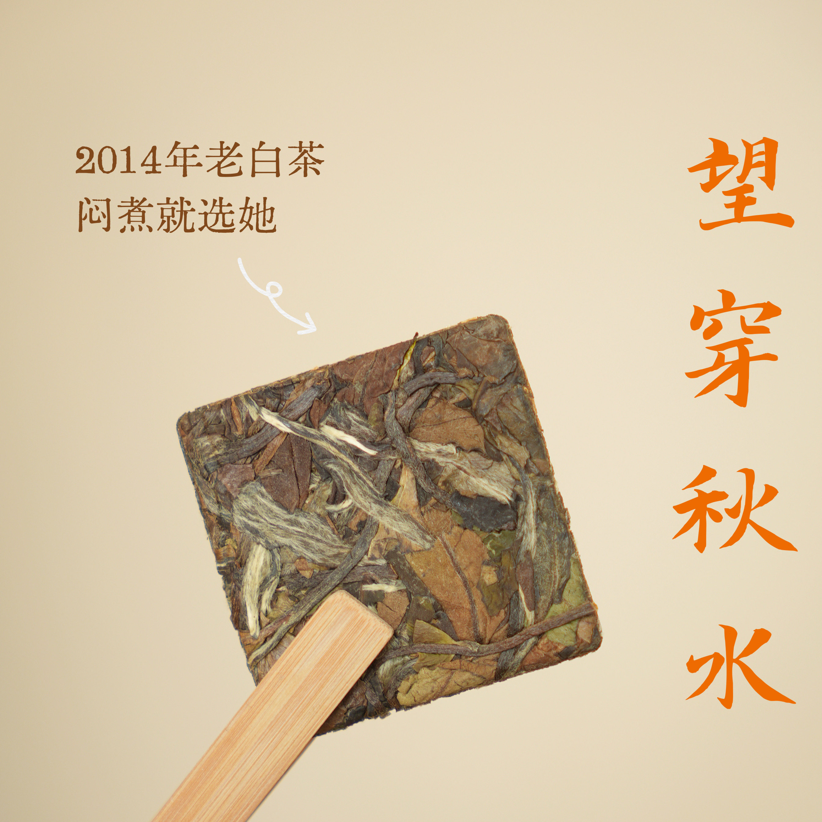 清山茶事 |『望穿秋水』2014年老寿眉福鼎老白茶饼干块保温杯闷泡
