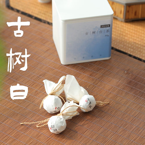 清山茶事｜2024年古树白茶小龙珠温润淡口