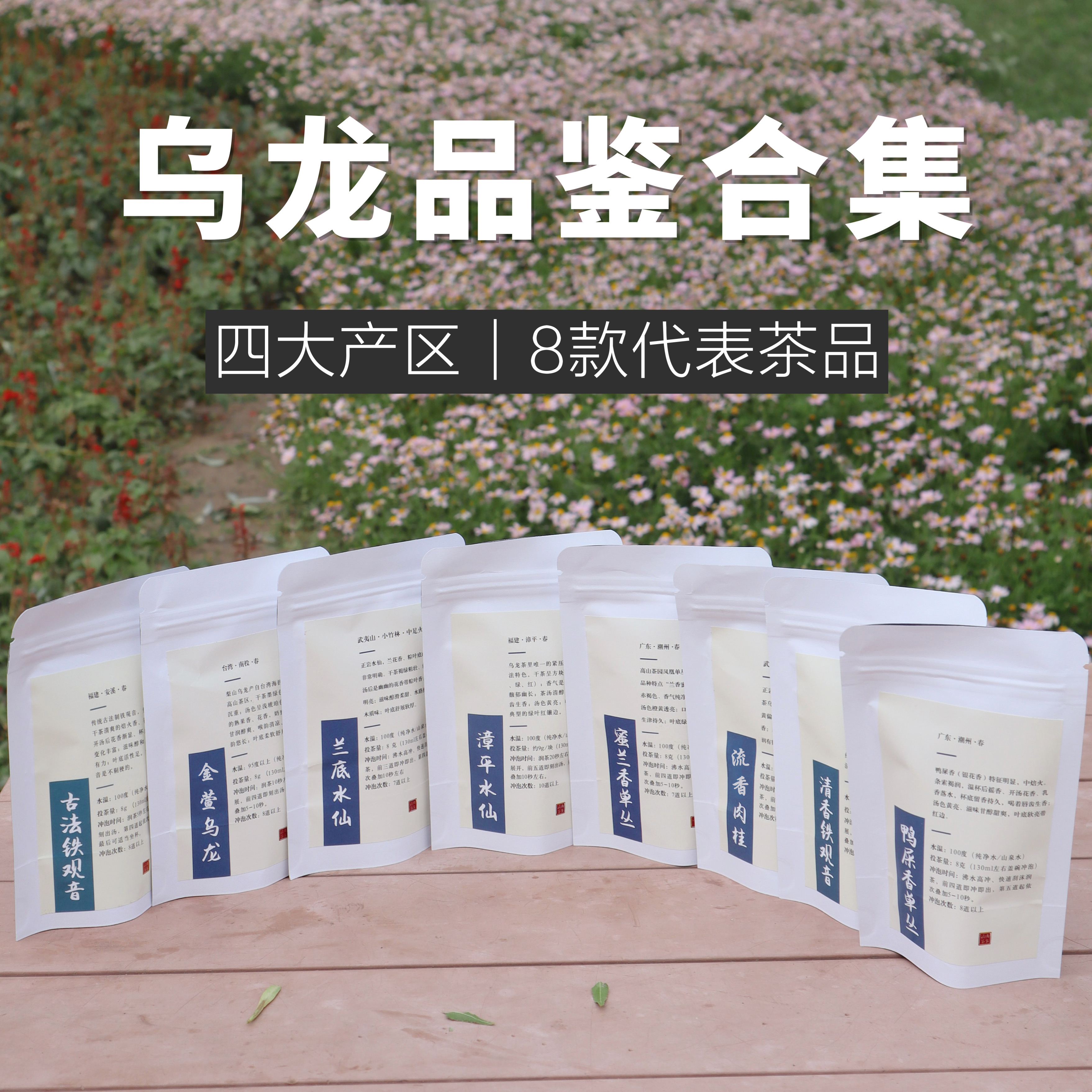 乌龙茶标杆样品合集清山茶事