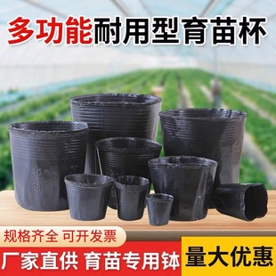 营养杯育苗杯一次性大花盆黑色种植营养袋育苗袋塑料育苗盆营养钵