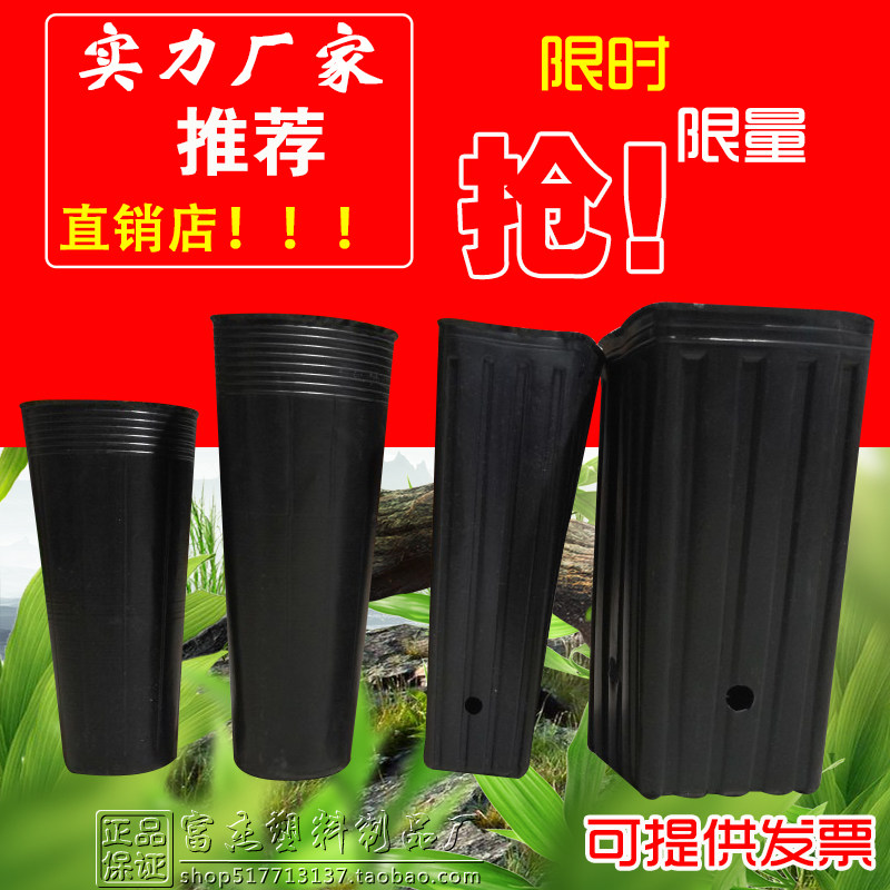 加厚方口杯子细高育苗杯营养杯方型营养钵塑料育苗杯柑橘苗营养钵