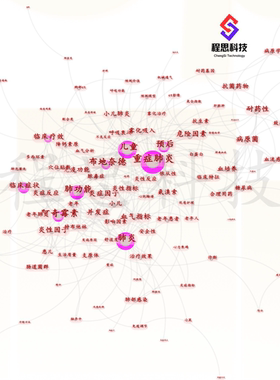 CiteSpace文献分析软件安装包6.3新版中文汉化聚类时区间线图代做