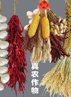 五谷丰收农作物装饰棒辣椒串挂件