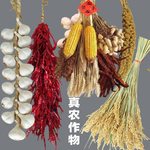 五谷丰收农作物装饰棒辣椒串挂件